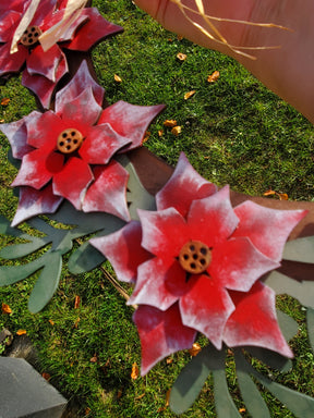 Poinsettia Wreath Workshop, Fulbeck Craft Centre, Fulbeck Grantham, Wednesday December 18th,13.30-15.30 hours.